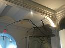 760814_amnh_134 * 2048 x 1536 * (1.21MB)