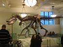 760814_amnh_150 * 2048 x 1536 * (1.36MB)