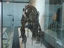 760814_amnh_156 * 2048 x 1536 * (1.41MB)