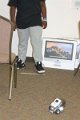170719_zion_044