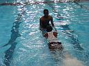 080625-swim110 * 2560 x 1920 * (2.27MB)