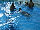 080626-swim-029 * 3072 x 2304 * (2.87MB)