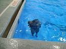 080626-swim-063 * 3072 x 2304 * (2.9MB)