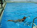 080626-swim-067 * 3072 x 2304 * (2.9MB)