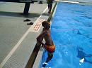 080626-swim-070 * 3072 x 2304 * (2.89MB)