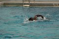 130613_Swim_085