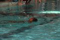 130625_swim_05