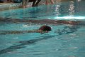 130625_swim_06