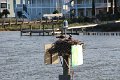 130525_manteo_013