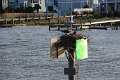 130525_manteo_014