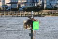 130525_manteo_016