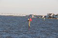 130525_manteo_051