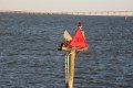 130525_manteo_054