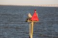 130525_manteo_055