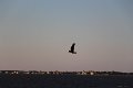 130525_manteo_061