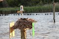 130525_manteo_077