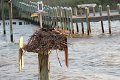 130525_manteo_078